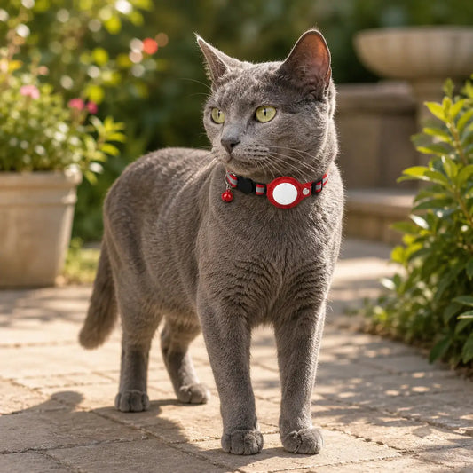 How to Put an AirTag on a Cat Collar Without a Dangling Case