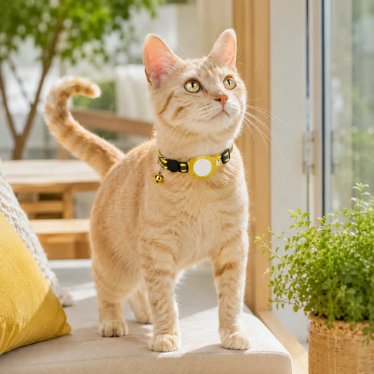 Best AirTag Cat Collar Features to Look For Before Buying
