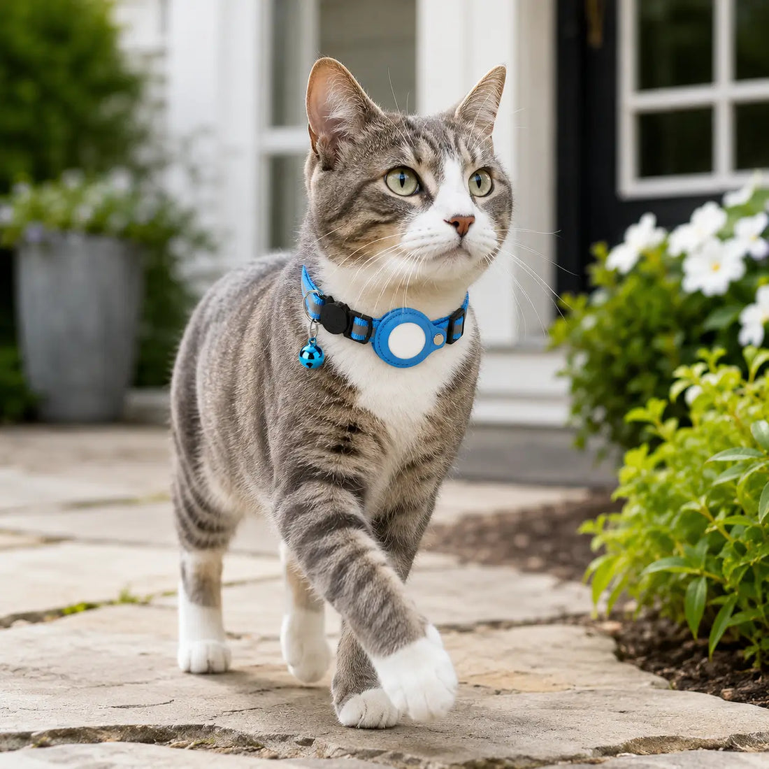 AirTag Cat Collar vs GPS Cat Tracker: Which Is Better?