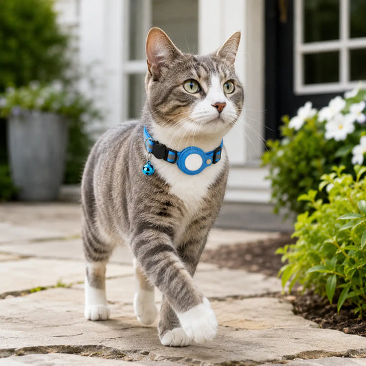 AirTag Cat Collar vs GPS Cat Tracker: Which Is Better?