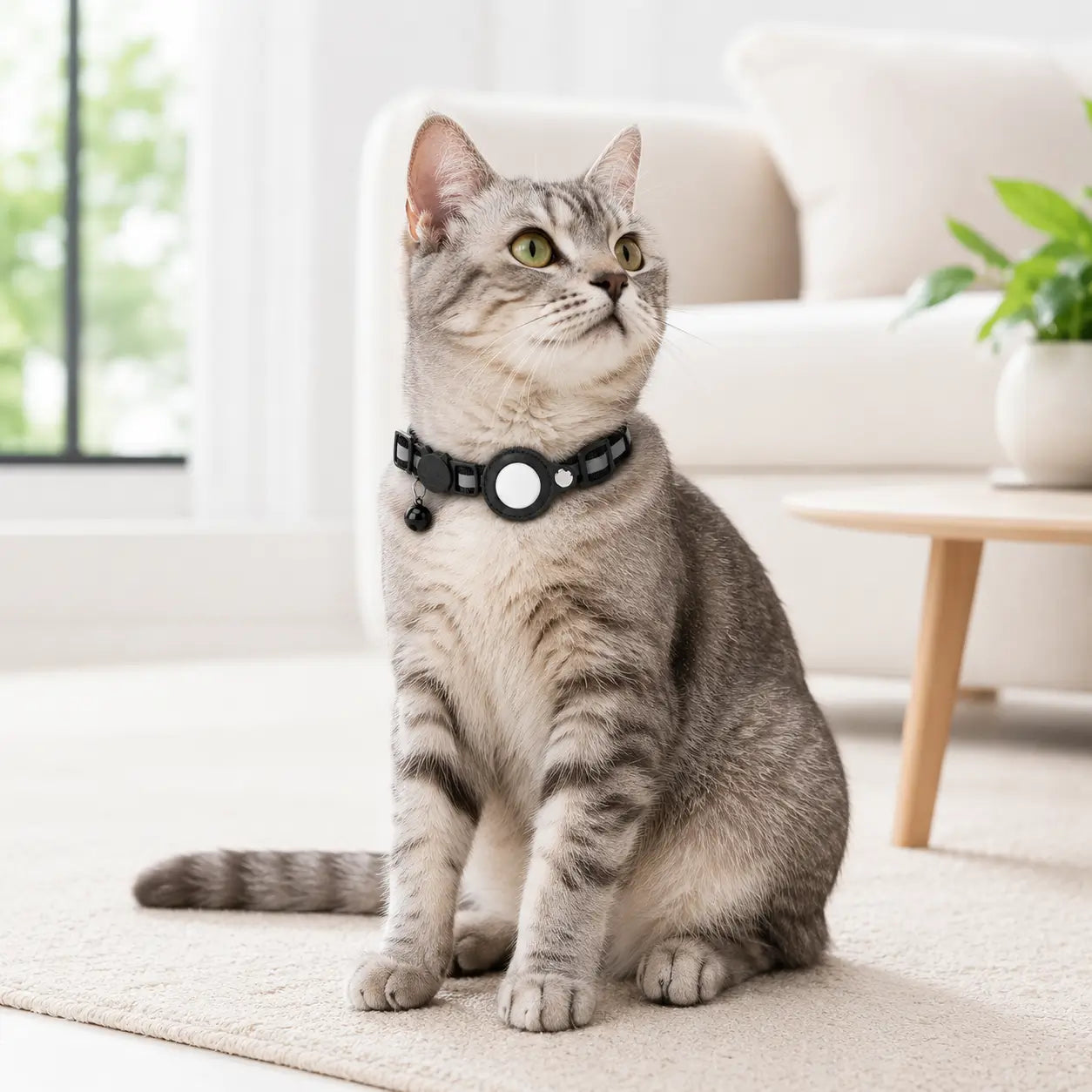 Clovertail™ Breakaway Cat AirTag Collar With Built-In Holder