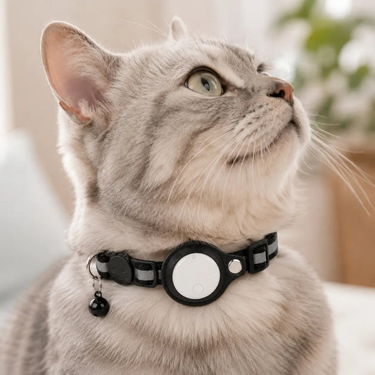Clovertail™ Breakaway Cat AirTag Collar With Built-In Holder