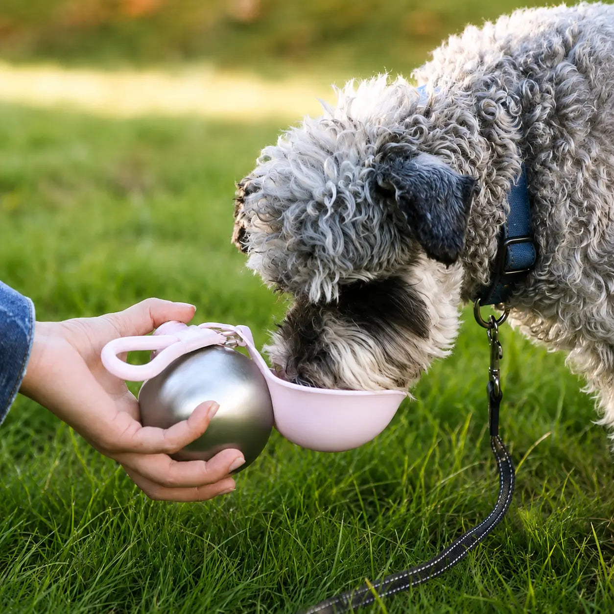 Clovertail™ Stainless Steel Dog Water Bottle