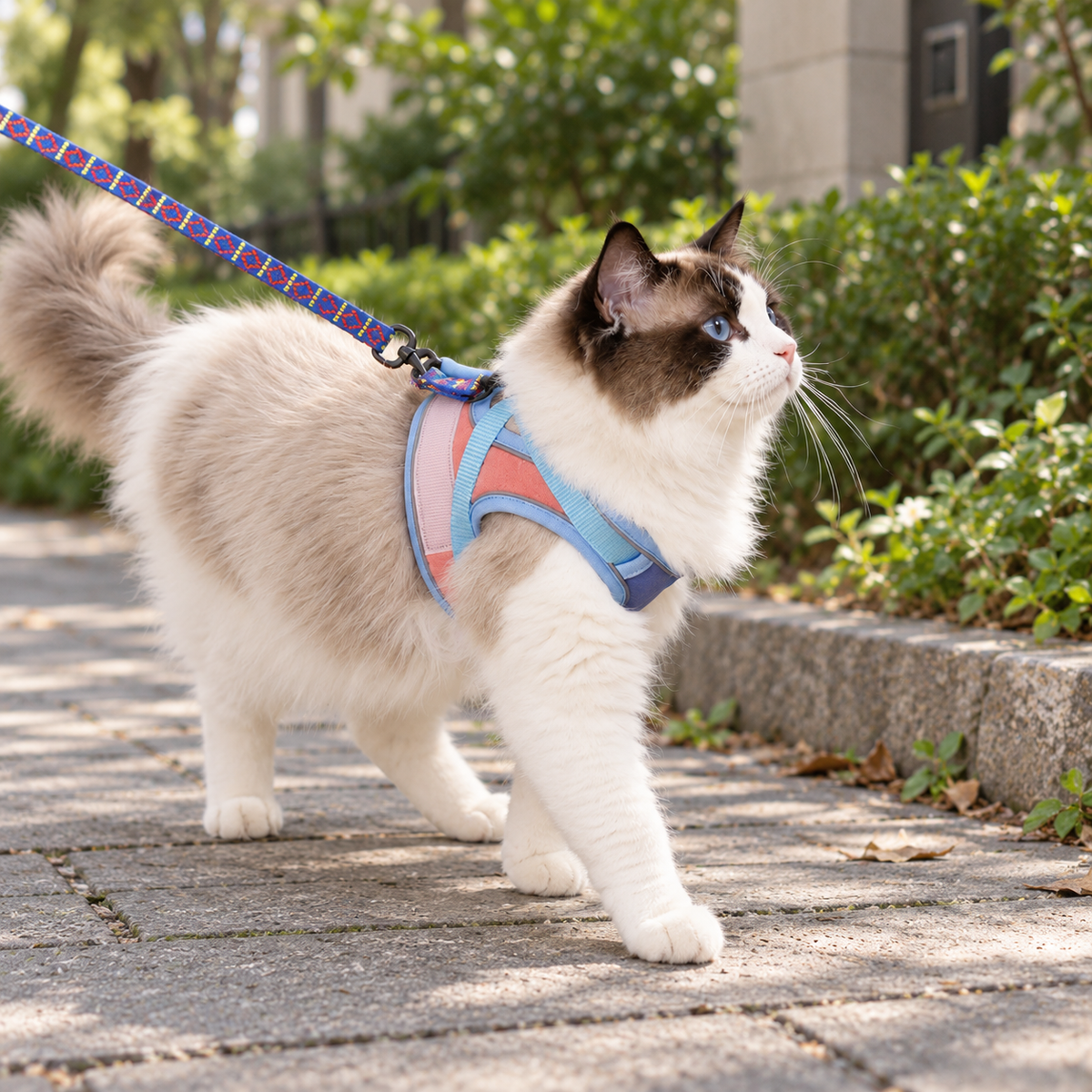 Reflective Cat Harness & Leash Set