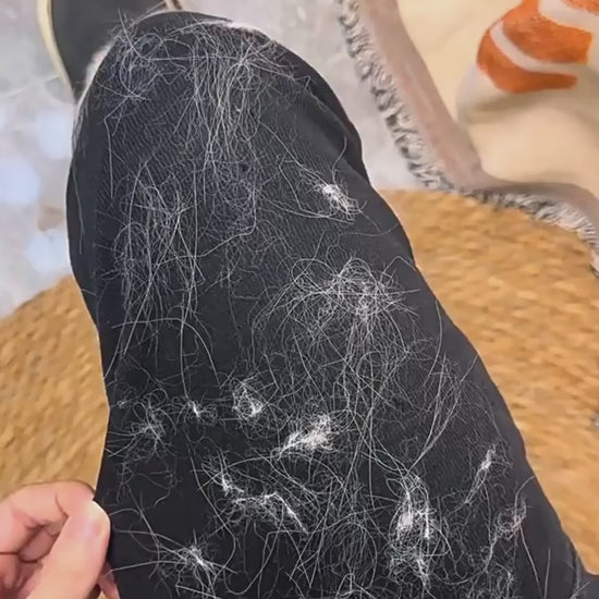 Pet Hair Removal Glove In Action
